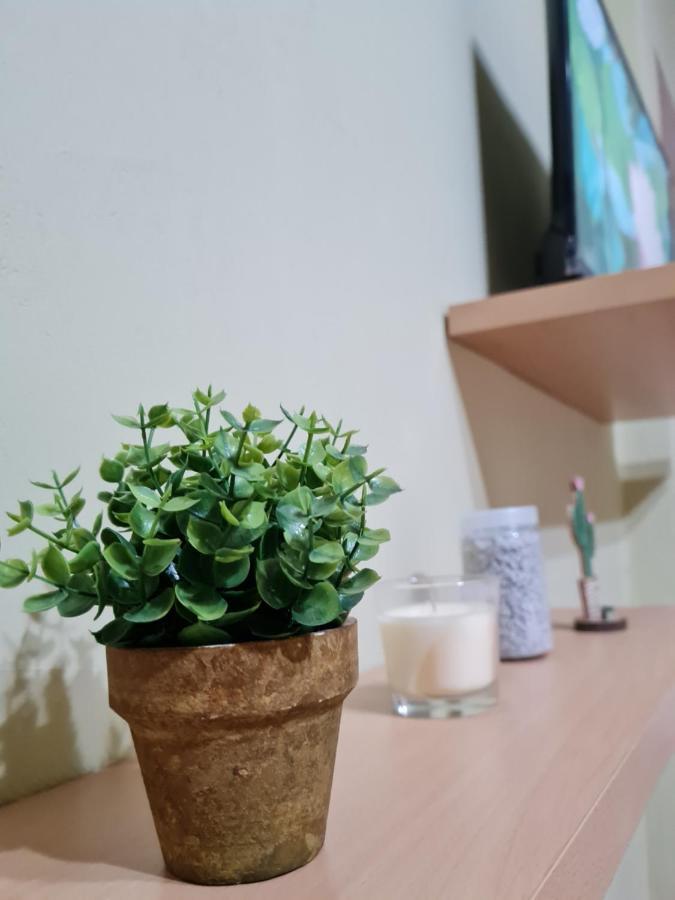 Ex-Block District Charming Studio Apartment With Treeish Sorrounding View! Тирана Екстериор снимка